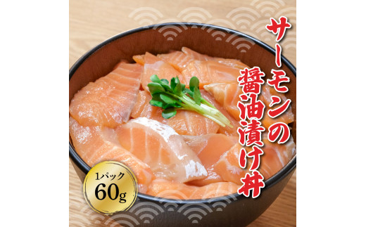土佐の海鮮漬け丼（サーモン・まぐろ）各5袋セット 1パック60g 漬け丼 海鮮丼 マグロ丼 サーモン丼 鮪 まぐろ おかず おつまみ 惣菜 魚介類 海鮮 お取り寄せ