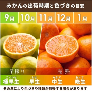 ＜9月より発送＞厳選 極早生有田みかん3kg+90g（傷み補償分）【YN26・ゆら早生】 ※北海道・沖縄・離島への配送不可 ※2024年9月中旬～11月中旬頃に順次発送予定