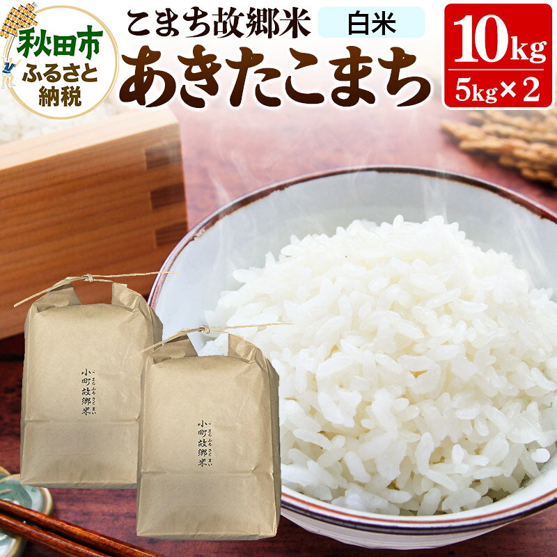 【ふるさと納税】米 こまち故郷米 ＜ あきたこまち ＞ 白米 10kg (5kg×2袋) 令和8年産