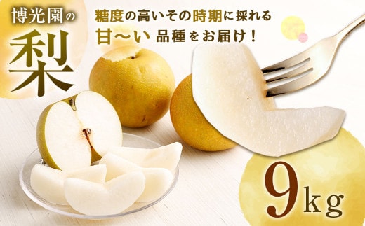 
										
										美味しい 【九州産】 梨 9.0kg 【2024年9月下旬~12月下旬発送予定】 豊水 20世紀 新高 新興 果物
									