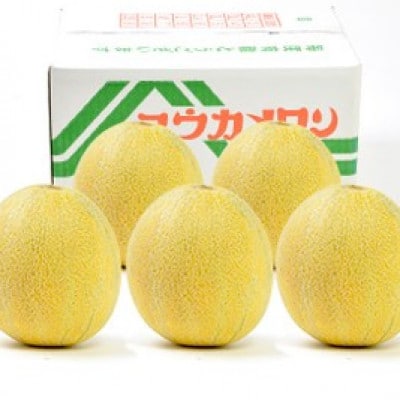 数量限定!こだわり農家さんの希少な優香メロン【特大×1】【配送不可地域：離島・北海道・沖縄県・東北】