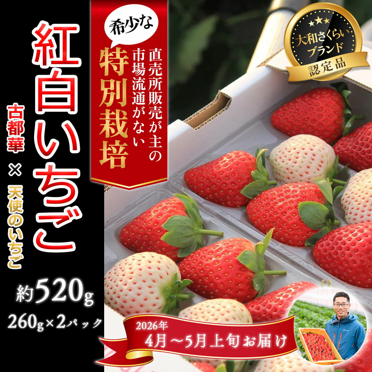【ふるさと納税】＜4月～5月上旬発送＞紅白いちご「古都華＆白いちご」2パック 特別栽培農産物／奈良県 苺 先行予約 ジャム 減農薬 食べ比べ Odamaki農園 M-AH18