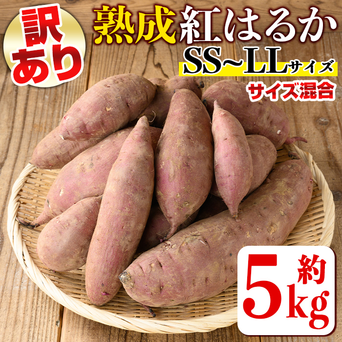 isa521 《訳あり・予約受付中！2026年12月より順次発送予定》熟成紅はるか(約5kg・SS～LLサイズ混合) 訳あり さつまいも 紅はるか 鹿児島 生芋 完熟 長期熟成 土付き べにはるか サツマイモ 焼き芋に【いさ工房】