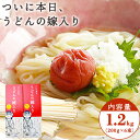 【ふるさと納税】ついに本日、うどんの嫁入り(食物繊維入り) 1.2kg(200g×6束)タナカ製麵所 岡山県浅口市 岡山県 浅口市《30日以内に出荷予定(土日祝除く)》小麦粉（国産、オーストラリア産）イソマルトデキストリン 食塩 うどん 麺 送料無料