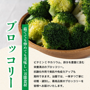 野菜 ブロッコリー サニーレタス 約2kg 詰め合わせ ブロッコリー サニーレタス