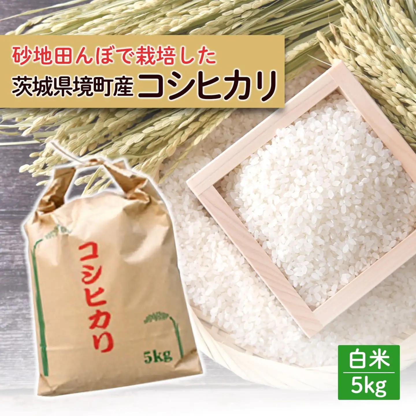令和7年産 / 白米 《50個限定》　令和7年産 茨城県 境町産 コシヒカリ 5kg 2025年産 S275