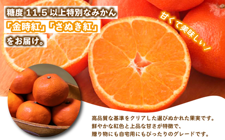 先行予約 みかん 蜜柑 約3kg 小原紅早生 小原紅早生みかん さぬき紅 金時紅 柑橘 オレンジ 11月下旬～12月下旬 配送 香川県 丸亀市