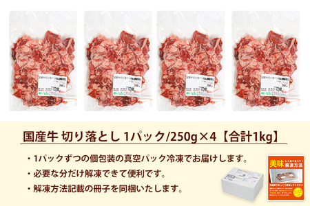 国産牛切り落とし1kg（250g×4パック）（DV071）
