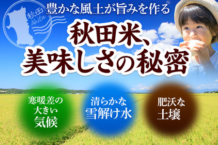 《令和7年産》《定期便10ヶ月》 米 あきたこまち 10kg（5kg×2袋） 【無洗米】 秋田県産