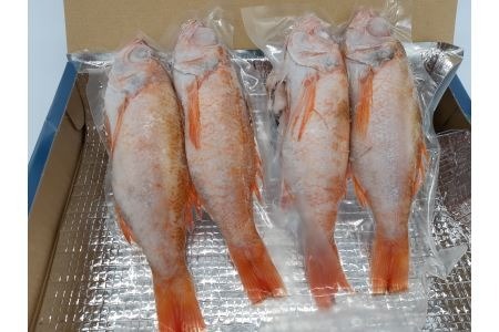 山陰浜田港あけぼの丸の塩焼き・煮付け用大型のどぐろセット（冷凍）【146_2028】