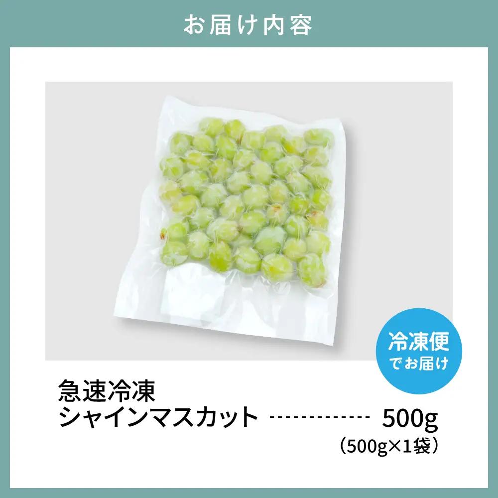 【急速冷凍】東根産シャインマスカット500g 冷凍 シャインマスカット