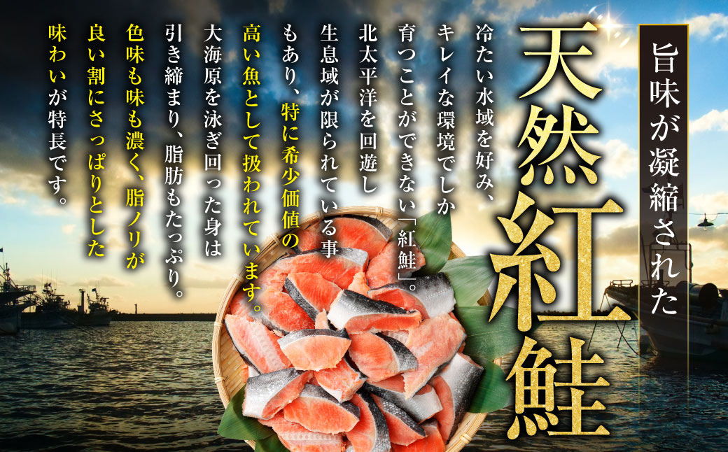 【 訳あり 】 天然甘塩紅鮭切落し 500g × 2袋 1kg 天然紅鮭 天然 紅鮭 鮭 さけ サケ 魚類 魚 魚介 魚介類 海鮮 冷凍 切落し 切り身 酒肴 晩酌 おかず つまみ