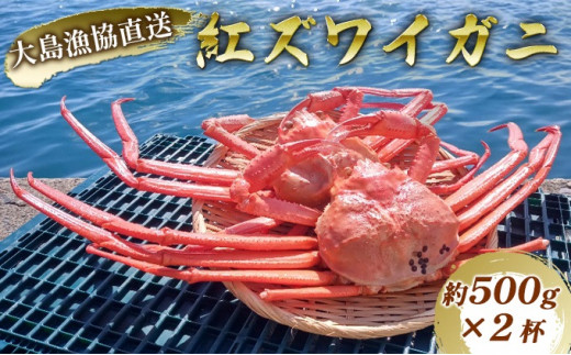 数量限定！福井県の大島漁協直送【ボイル冷凍】ベニズワイガニ（約500g）×2杯