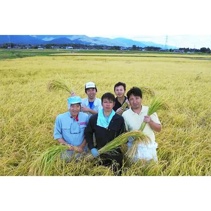 自社栽培米佐渡産こしひかり（精米10kg）6カ月定期便