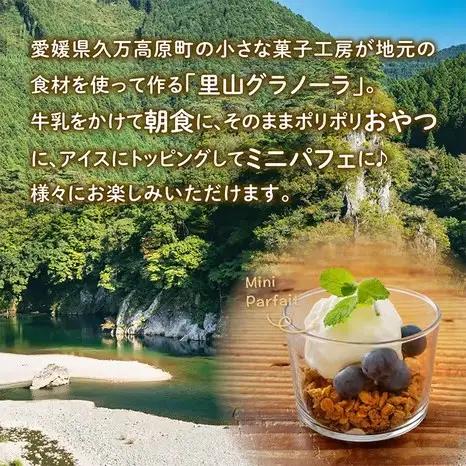 コーヒーの里山グラノーラ 150g×3袋｜愛媛県 久万高原町産 手作り グラノーラ シリアル オートミール ナッツ フルーツ入り 朝食 おやつ トッピング 国産