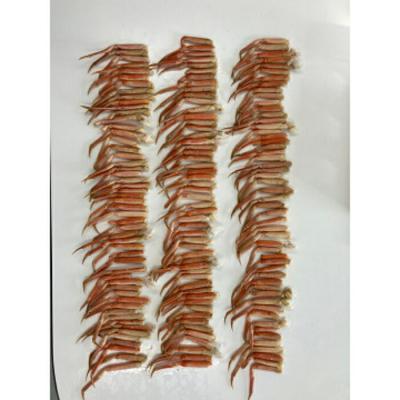 ふるさと納税 紋別市 特盛ボイル本ずわいがに小足 約2kg |  | 02