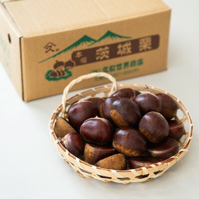【ふるさと納税】茨城県かすみがうら市産　熟成倉方栗(生栗)約2kg〈2026年11月中旬より順次発送予定〉【配送不可地域：離島】【1454975】