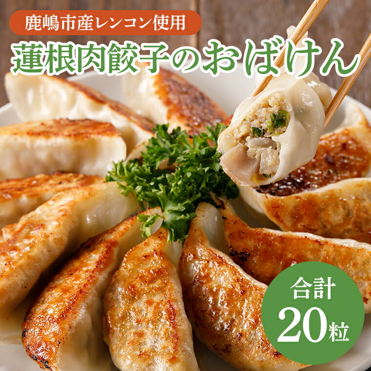 【ふるさと納税】【お試しサイズ】蓮根肉餃子のおばけん【20粒】【野菜 ギョーザ れんこん しゃきしゃき おいしい 食べきり 茨城県 鹿嶋市】（KBU-19）