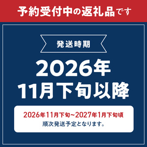 【2026年11月下旬より発送】秀品 有田みかん 2kg 2S～Lサイズのいずれか_G7343