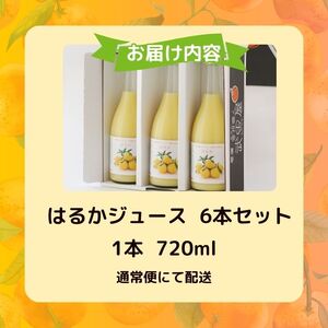 無添加 はるか ジュース 720ml 6本 ストレート 果汁 100% 柑橘 かんきつ 果物 くだもの 国産 こくさん フルーツ おやつ デザート 飲料 果汁 搾汁 厳選 瓶 瓶ジュース アレンジ ア