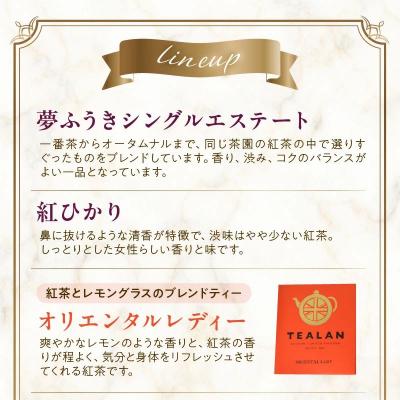 ふるさと納税 南九州市 薩摩の紅茶TEALANオリジナルセット |  | 01