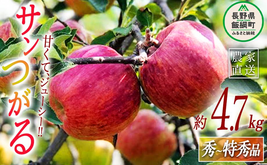 りんご サンつがる  秀特秀4.7kg 丸茂ファーム 沖縄県への配送不可 2024年8月下旬頃から2024年9月下旬頃まで順次発送予定 エコファーマー認定 信州の環境にやさしい農産物認証 令和6年度収穫分 フルーツ リンゴ 林檎 農家直送 予約 15500円 長野県 飯綱町 [1443]