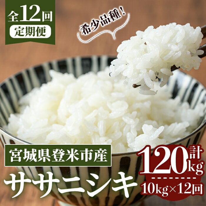 【ふるさと納税】＜先行予約！2025年10月から発送開始予定＞≪令和7年産≫【12回定期便】ササニシキ 計120kg (10kg×12回配送) 登米市産 お米 おこめ 米 コメ 白米 ご飯 ごはん おにぎり お弁当 12か月 頒布会【登米ライスサービス株式会社】tm170