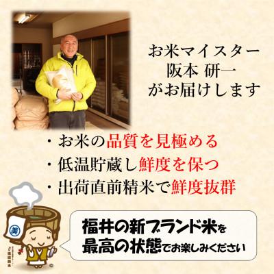 ふるさと納税 あわら市 【令和6年産】いちほまれ 無洗米 5kg×1袋《発送直前に精米!》 |  | 02