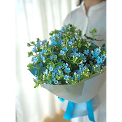 ふるさと納税 芸西村 【毎月定期便】芸西村産生花ブルースター花束 ブーケ 初回花瓶付 毎回延命剤付 全12回 |  | 02