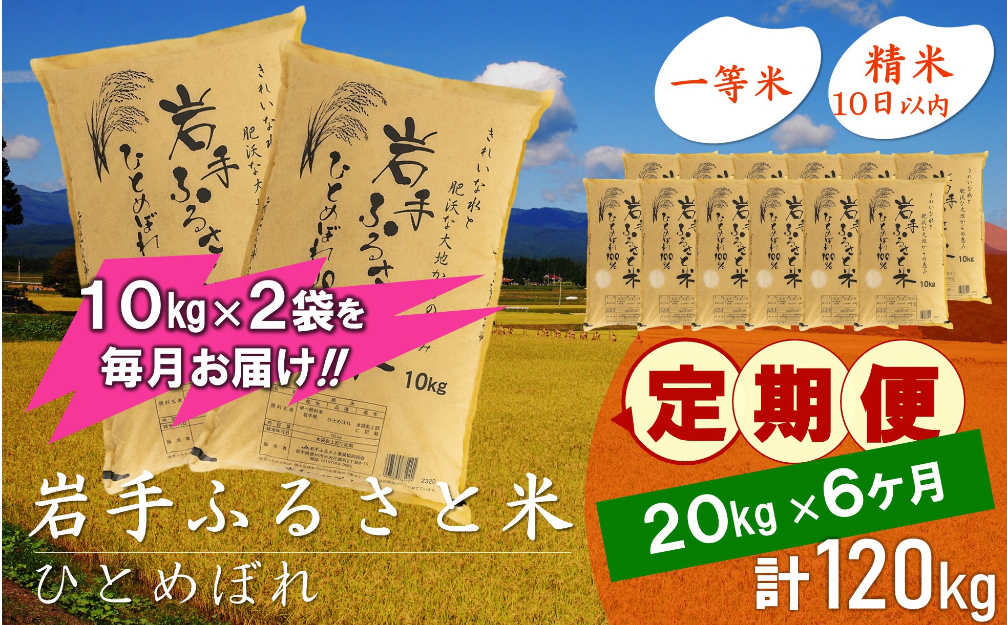 3人に1人がリピーター!☆全6回定期便☆ 岩手ふるさと米 20kg(10kg×2)×6ヶ月 令和6年産 一等米ひとめぼれ 東北有数のお米の産地 岩手県奥州市産【配送時期に関する変更不可】 [U0177]