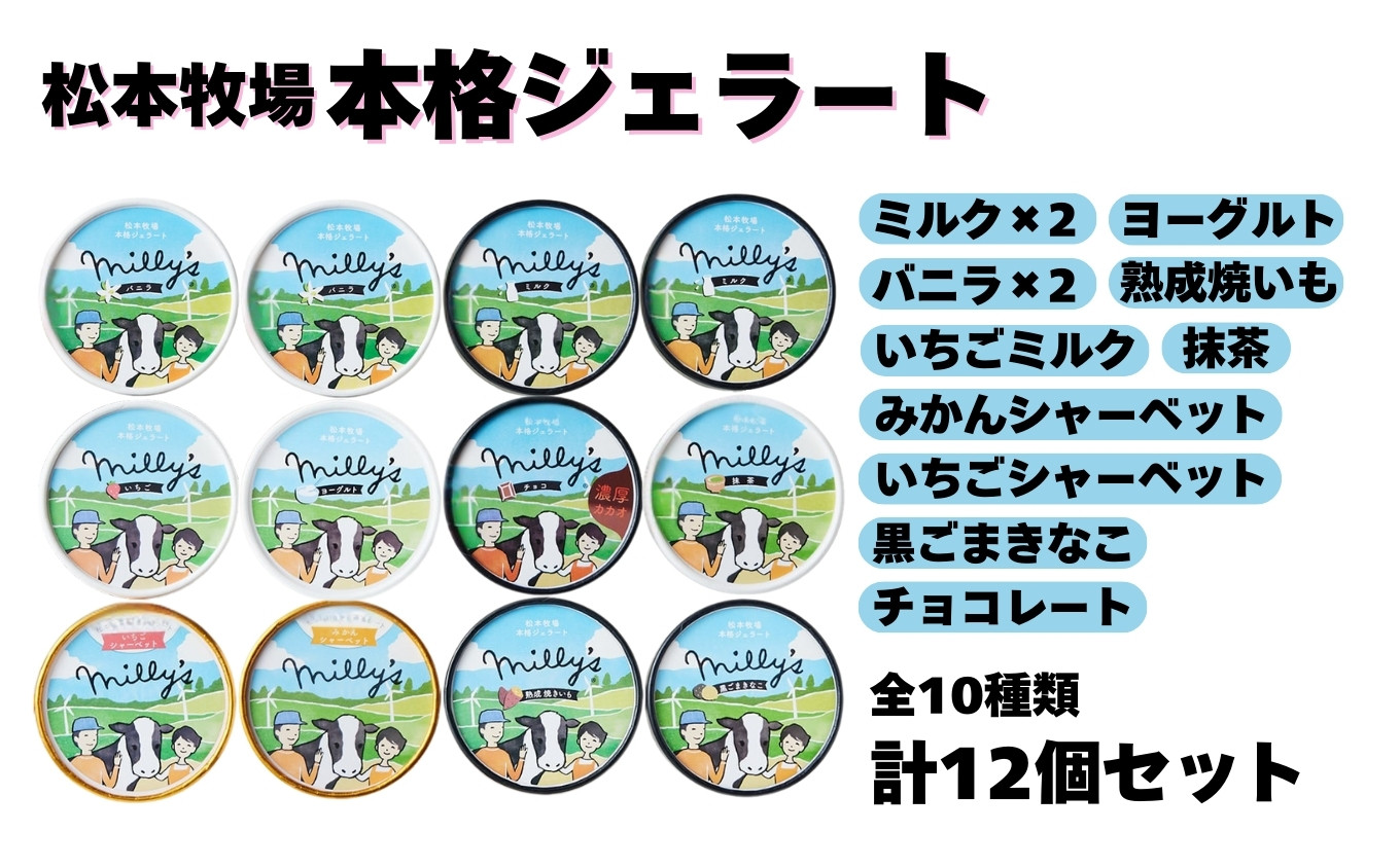 
            【松本牧場】本格ジェラート ミリーズ12個セット［A016603］
          