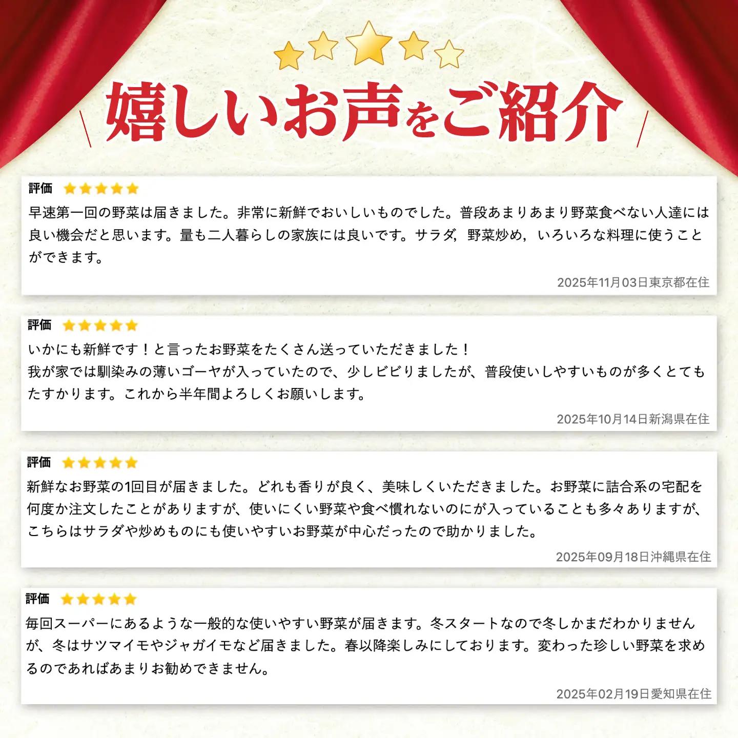 【ふるなび限定】野菜 12回定期便  諫早産野菜の詰め合わせ 8・9品目程度 [AHDI003]