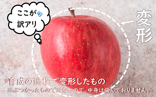 〈訳あり ちょっと規格外〉 完熟みつ入りふじりんご 約4kg 