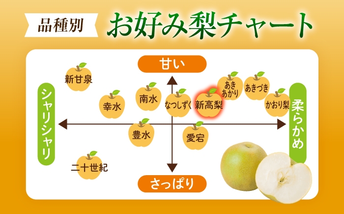 フルーツ 果物 くだもの 食品 人気 おすすめ 梨 なし 新高梨 にいたかなし 和梨 甘い 高糖度 ナシ 大玉 黄金色