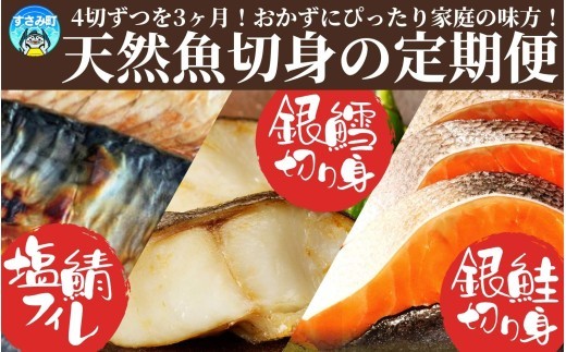 
                  【3回定期便】【毎月お届け】和歌山魚鶴仕込みのだし漬け銀だら切身4切・銀鮭切身4切・塩さばフィレ4枚全3回   / 銀鱈 さけ サバ だし 魚 切り身 切身 魚 海鮮 焼き魚 ご飯のおとも おかず【tkb417】
                