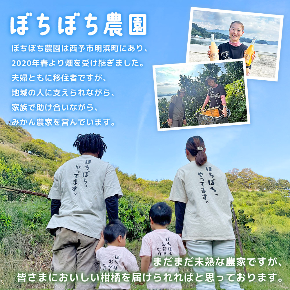 ぼちぼち農園のぽんかん5kg　家庭用