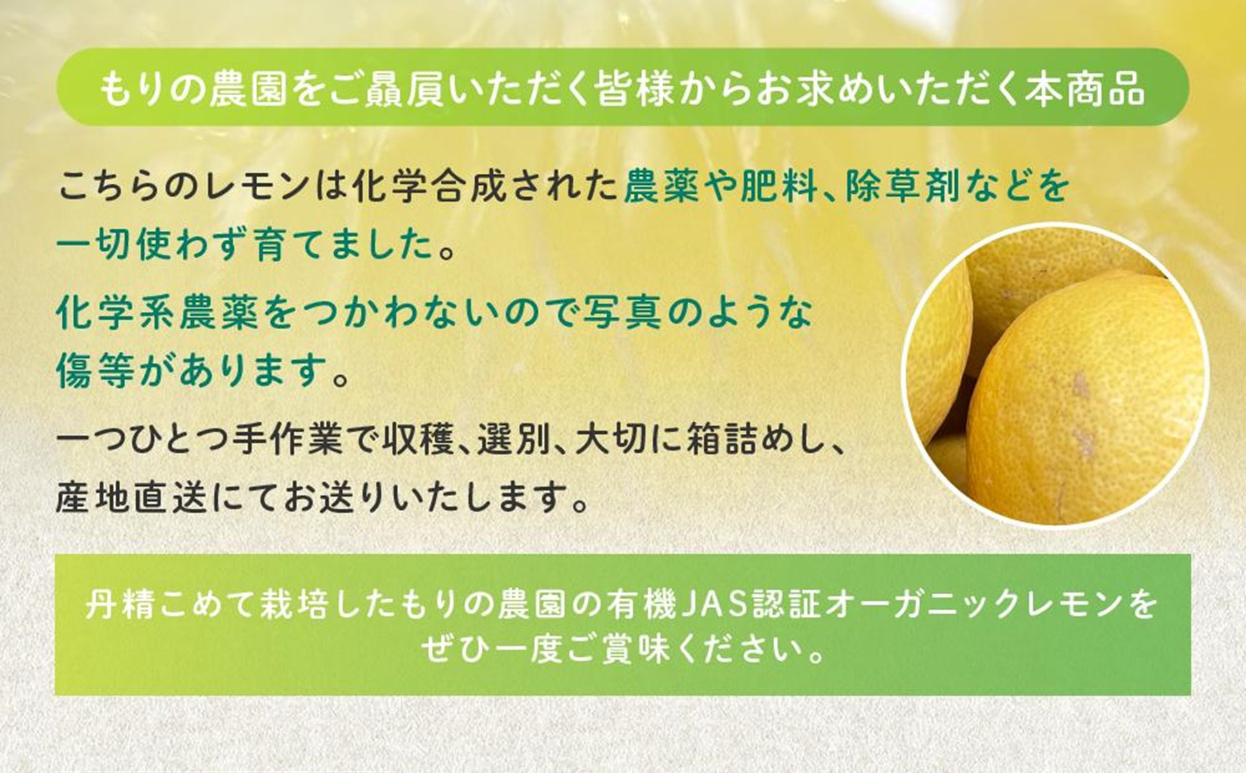 【有機JAS認証】レモン島からお贈りするオーガニックレモン 3kg 有機レモン 2月以降発送予定 産直 国産 有機栽培