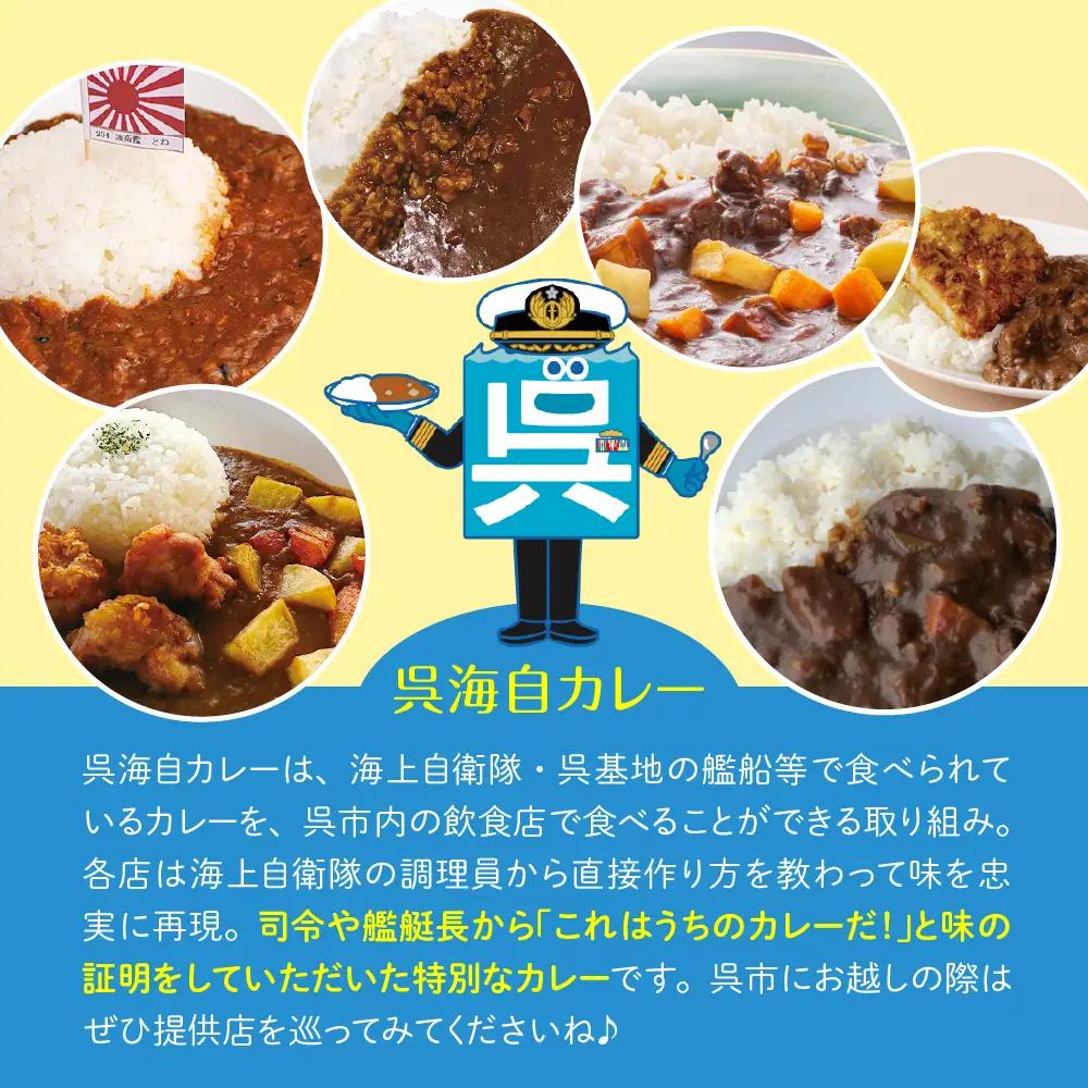 呉海自カレー レトルトカレー 4種詰合せ（C） けんりゅう 他　海軍カレー ビーフカレー レトルトパウチ 常温保存 非常食 ご当地カレー 広島県 呉市 送料無料 ku051-007-r