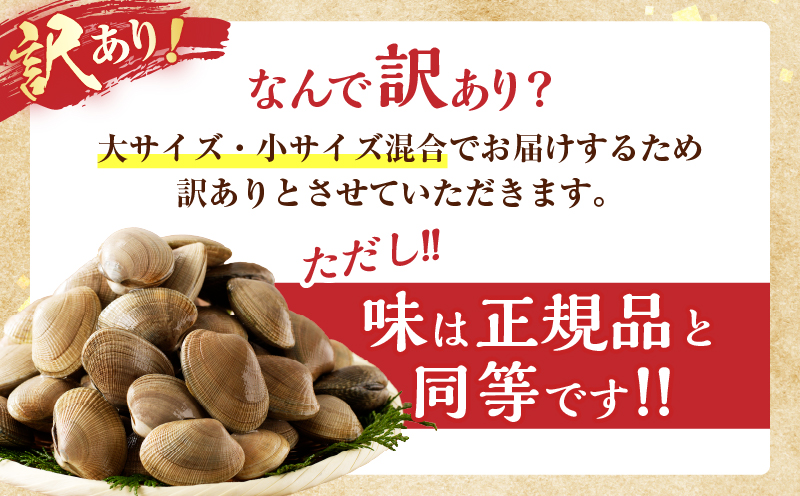 【訳あり】1月～3月発送分《先行予約・期間限定》浜中町産活あさり(500g×4袋セット)_H0023-052