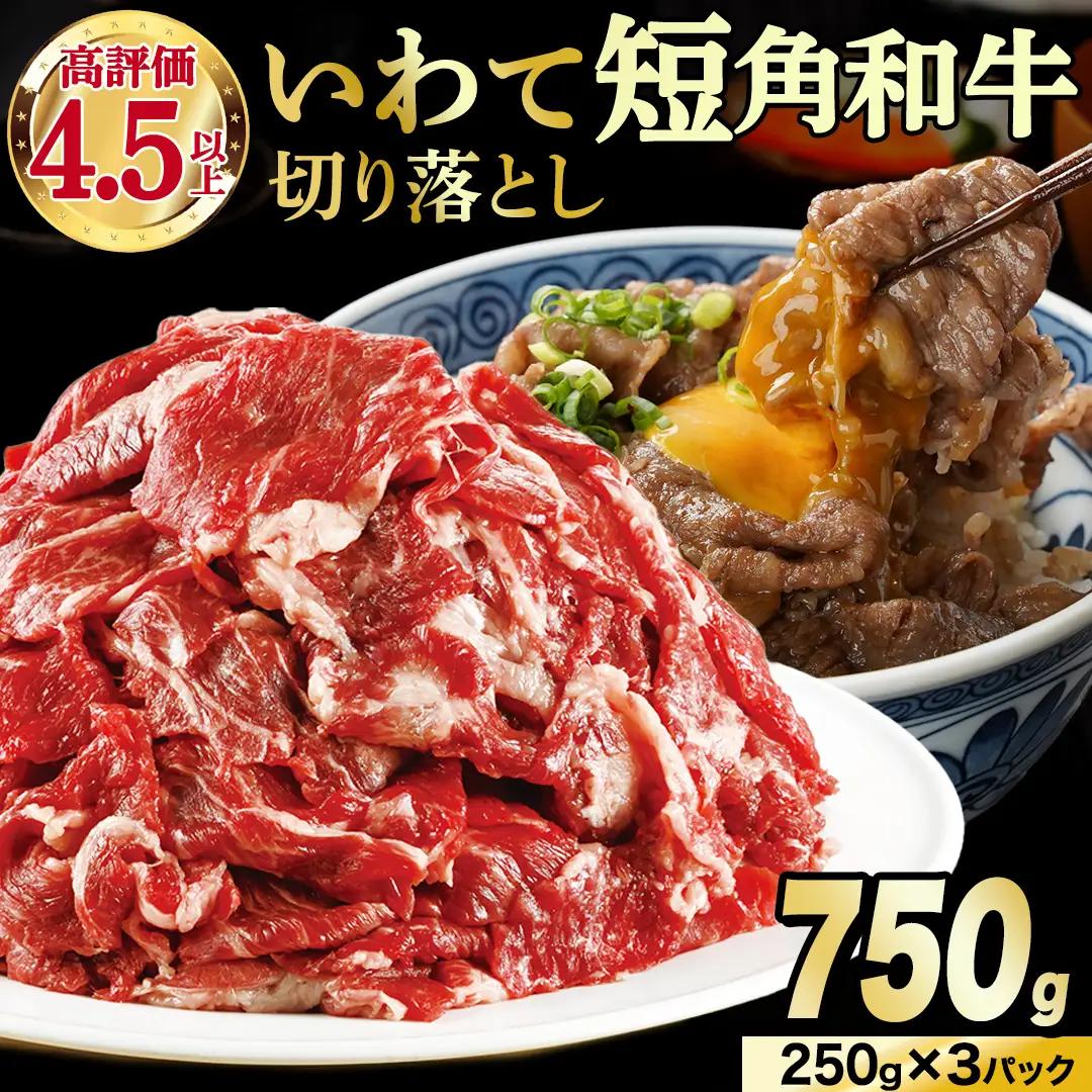 切り落とし 赤身 肉 牛肉 いわて 短角和牛 750g (AB119)