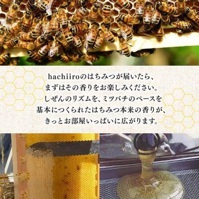 ふるさと納税 和泉市 【1種】いずみつアカシア 200g　 倒立型 蜜切れ抜群ボトル |  | 01