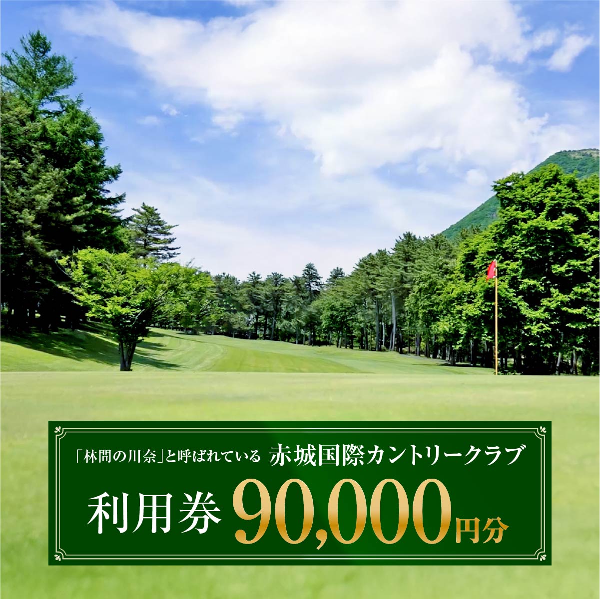 【ふるさと納税】赤城国際カントリークラブ 利用券 90,000円分 3000円券×30枚｜ゴルフ場 利用券 チケット ゴルフ 利用クーポン ラウンド プレー ハーフ 関東 都心 近い スイング クラブ スコア ゴルフコース 歴史 伝統 林間 戦略 1964年開場 四季 見通し 景色 眺望 R5-8