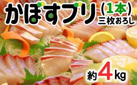 【先行予約】うすき産かぼすブリ・1本（約4kg弱）