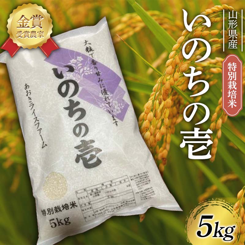 【ふるさと納税】 令和7年産 特別栽培米 いのちの壱 5kg F2Y-4482
