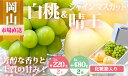 【ふるさと納税】【令和7年発送・先行予約】岡山県産　詰合/白桃（1玉220g以上）2玉・シャインマスカット晴王（1房480g以上）2房　化粧箱入り　CT-4　※北海道・沖縄県・離島への配送はできません。