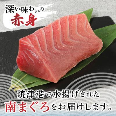 ふるさと納税 焼津市 焼津港水揚げ ・南まぐろ(a10-430) |  | 01