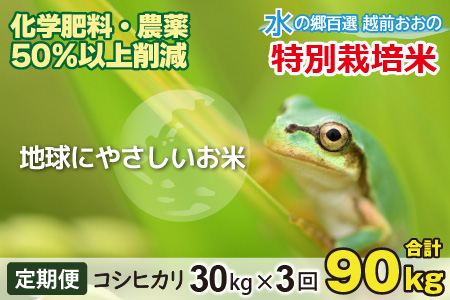 【令和8年産 新米】【3ヶ月定期便】こしひかり 30kg × 3回 計 90kg【白米】減農薬・減化学肥料 「特別栽培米」－地球にやさしいお米－[K-003002]