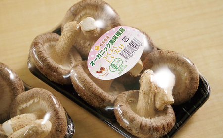 オーガニック 菌床生しいたけ・生きくらげ 約500g（各250g）