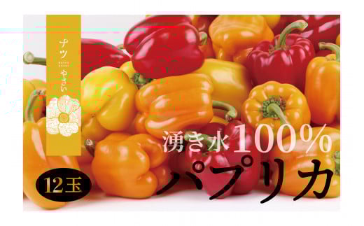 【R7年早期受付】湧水栽培 ナツやさいのパプリカ 12玉〜15玉セット ピンクの八百屋〜ナツやさい〜  | 北海道津別町