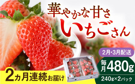 【先行予約 2027年2月～発送】【2回定期便】いちごさん 240g×2パック いちご